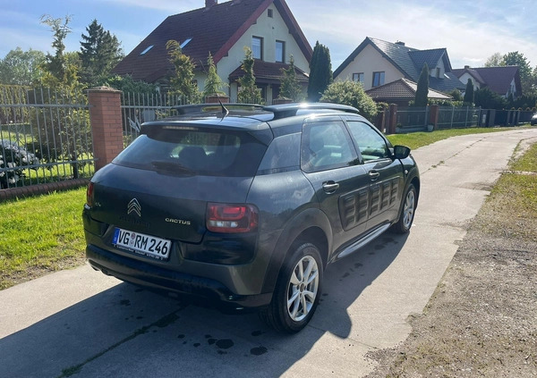 Citroen C4 Cactus cena 24900 przebieg: 102008, rok produkcji 2015 z Kołobrzeg małe 22